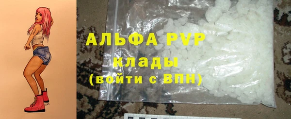 кокс Арсеньев