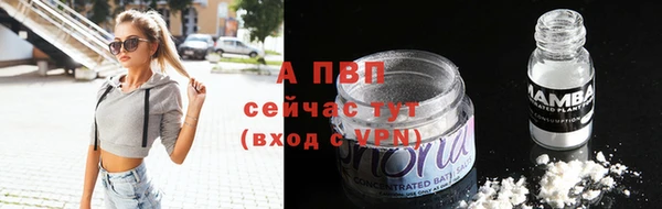 трава Аркадак