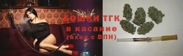 трава Аркадак