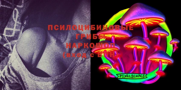 кокс Арсеньев