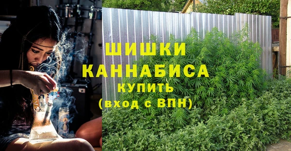 трава Аркадак