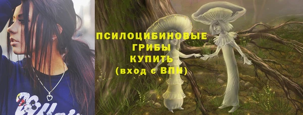 трава Аркадак