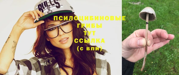 кокс Арсеньев